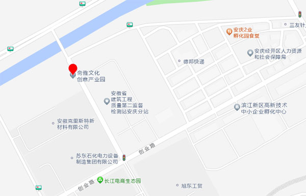 安庆帝雅艺术品有限公司